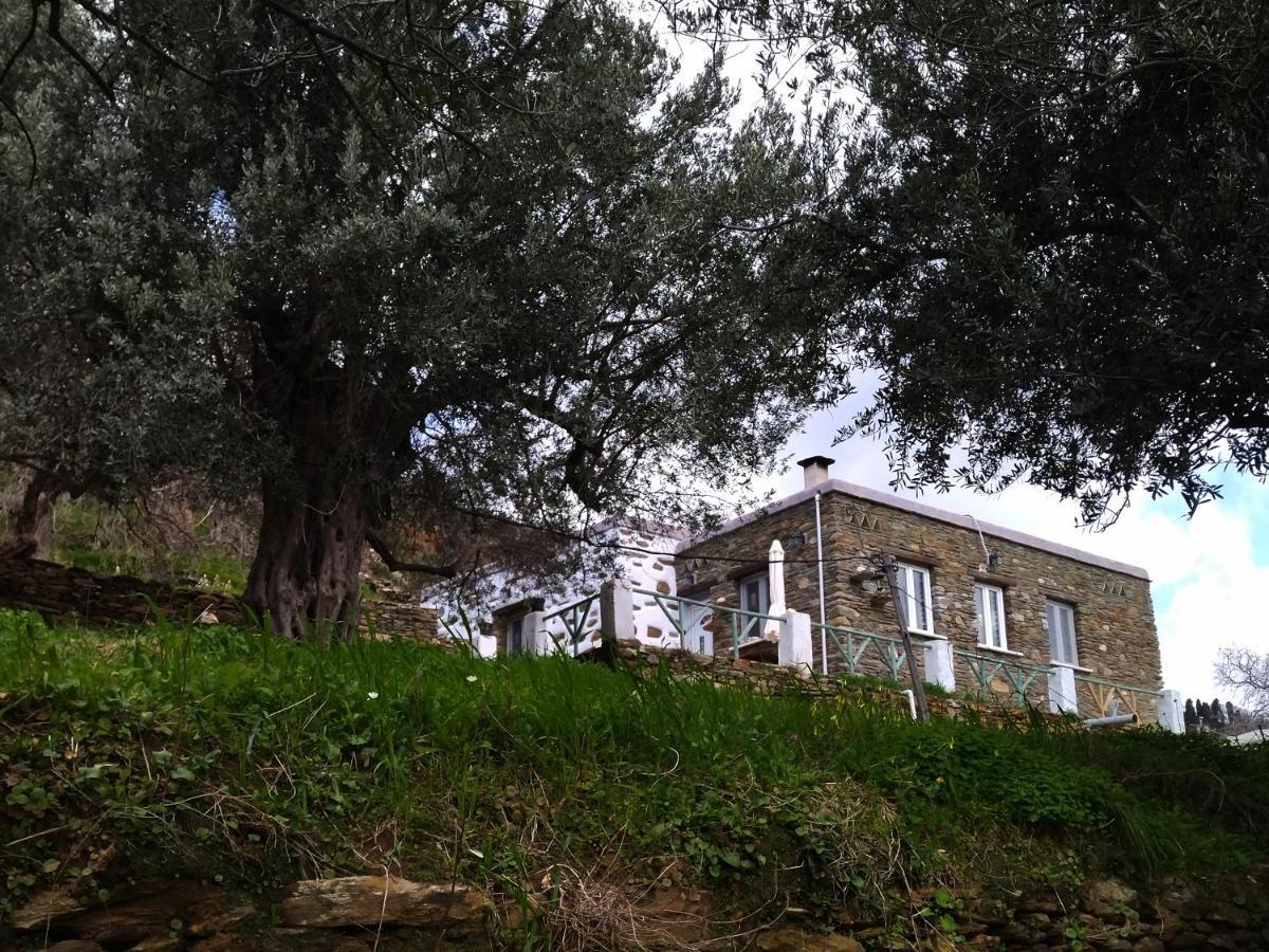 Summer Sunrise Andros Διαμέρισμα Εξωτερικό φωτογραφία